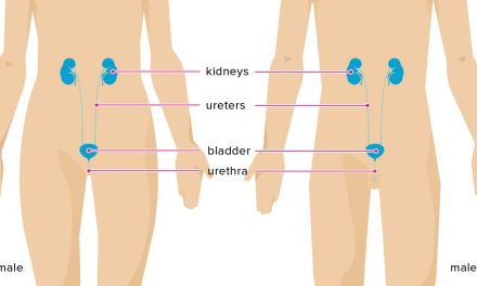UIT – Urinary Tract Infection